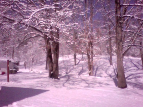 snow1 snow1