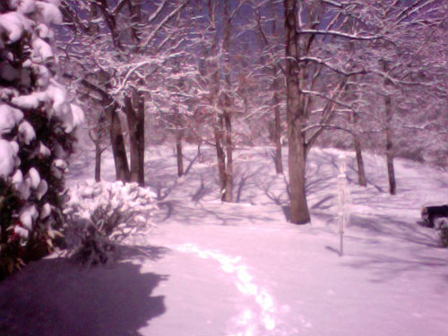 snow2 snow2