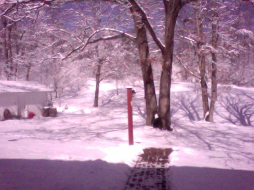 snow4 snow4