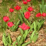 dscn0036