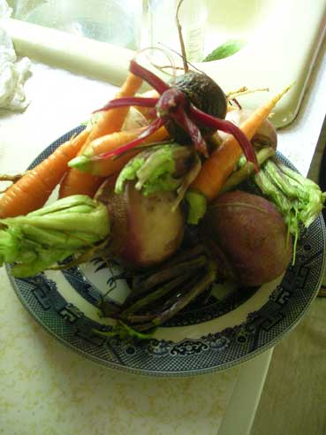 DSCN0356 DSCN0356