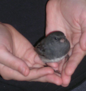 DSCN1465