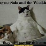 star-wars-lolcat-jabacat-solo-wookie1